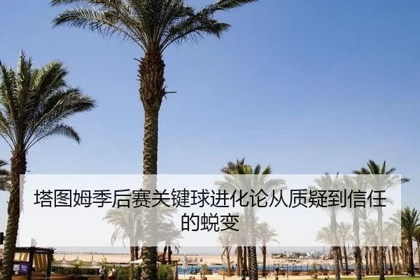 ta-tu-mu-ji-hou-sai-guan-jian-qiu-jin-hua-lun-cong-zhi-yi-dao-xin-ren-de-tui-bian-3-529.jpg