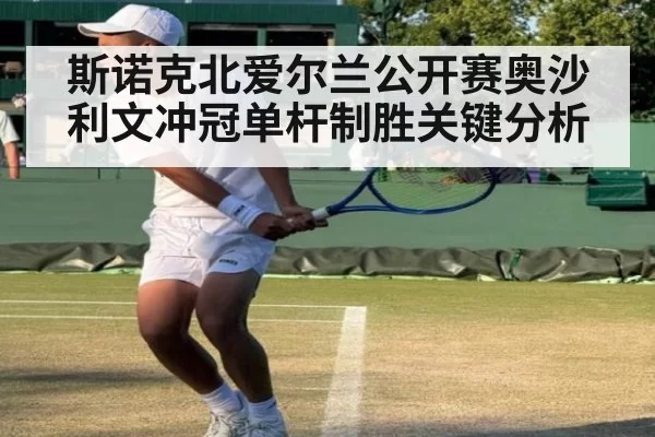 斯诺克北爱尔兰公开赛奥沙利文冲冠单杆制胜关键分析